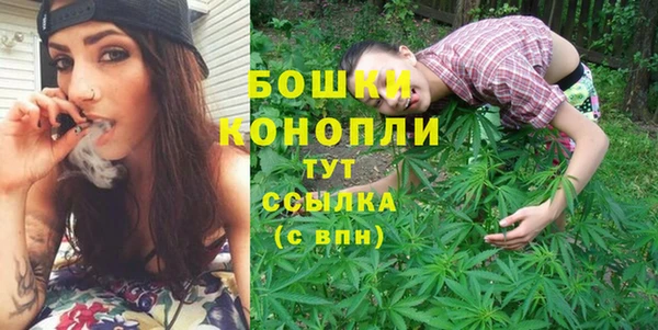 ГАЛЛЮЦИНОГЕННЫЕ ГРИБЫ Балабаново