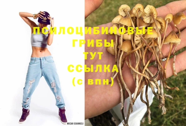 ГАЛЛЮЦИНОГЕННЫЕ ГРИБЫ Балабаново
