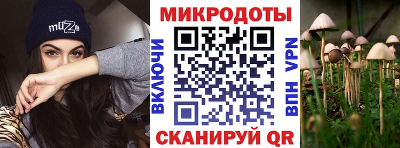 Псилоцибиновые грибы Psilocybine cubensis  Чудово 